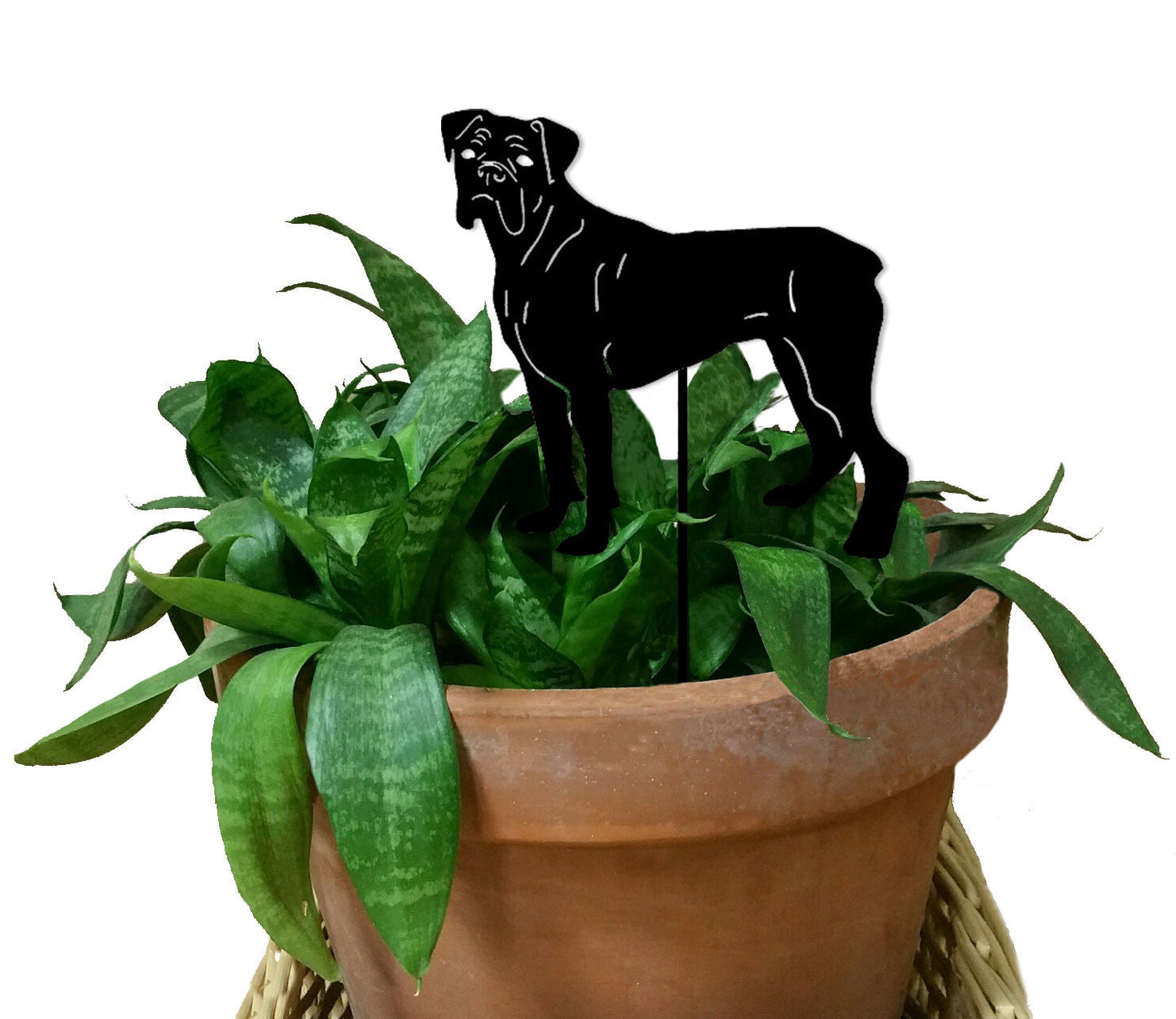 Boxer plant stake silhouette in black atop a terracotta pot with a snake plant on Tampa Home & Garden Store