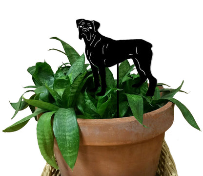 Boxer plant stake silhouette in black atop a terracotta pot with a snake plant on Tampa Home & Garden Store