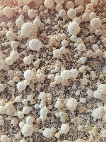 BrewKashi Microbial Activator | Composting Microbes - Tampa soil911.com