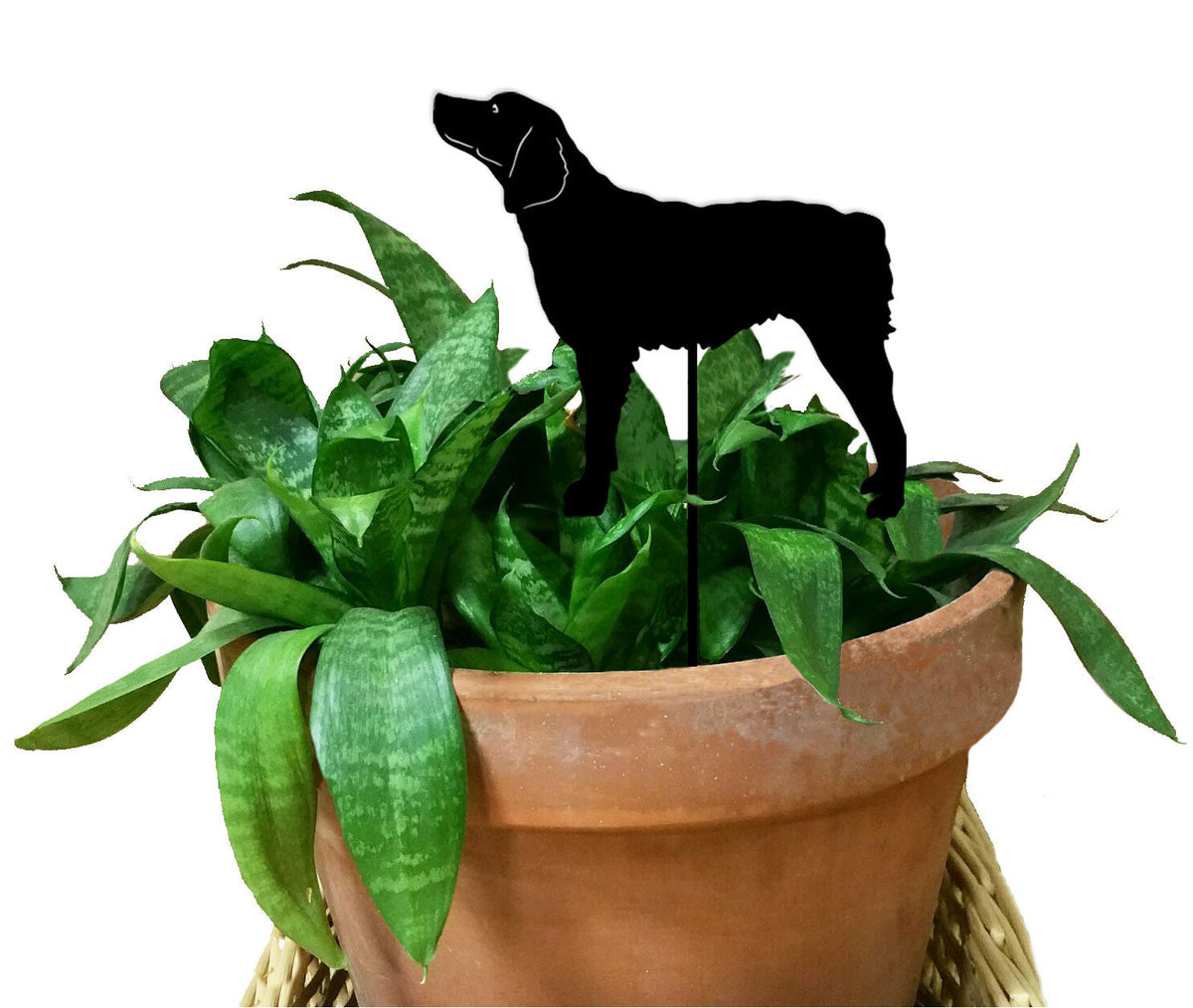 Brittany plant stake by Rustica Ornamentals, black dog silhouette atop terracotta pot greenery on Tampa Home & Garden Store