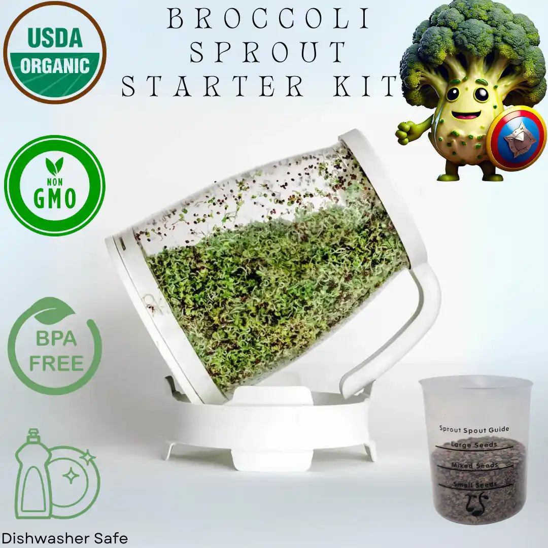 Kit de démarrage pour brocolis Sprout Spout : Sprout Spout + 113 g ou 454 g de graines + une cuillère à germer offerte