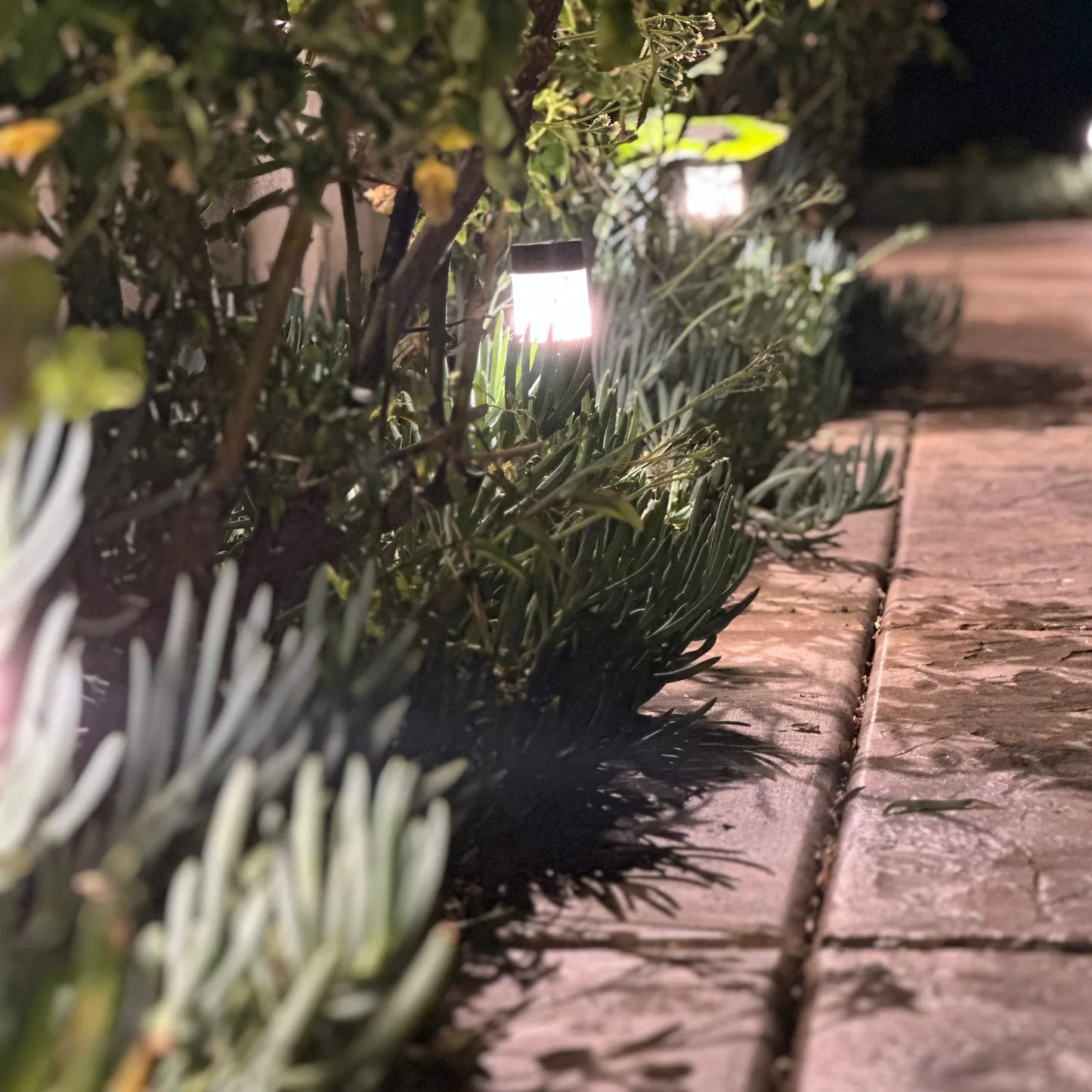 Brutus 15" Black Brass Bollard Light Low Voltage Outdoor Lighting - Tampa Home & Garden Store