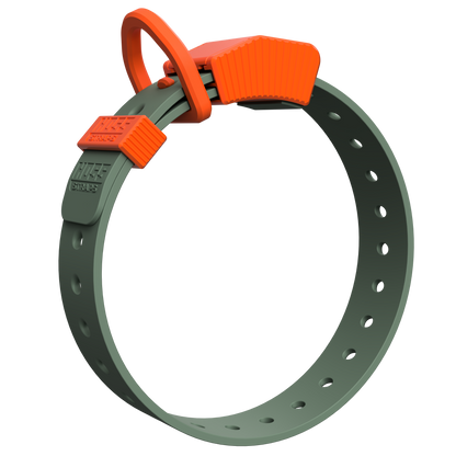 FIELD COLLAR Hoss Straps olive hunting dog collar with bright orange buckle on Tampa Home & Garden Store