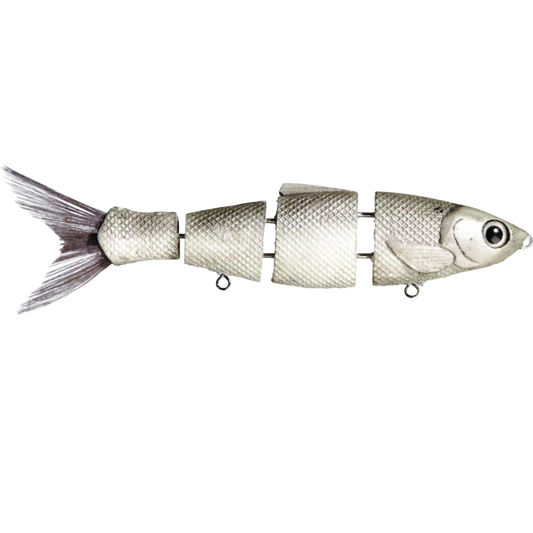Bull Herring Swimbaits - Tampa Home & Garden Store