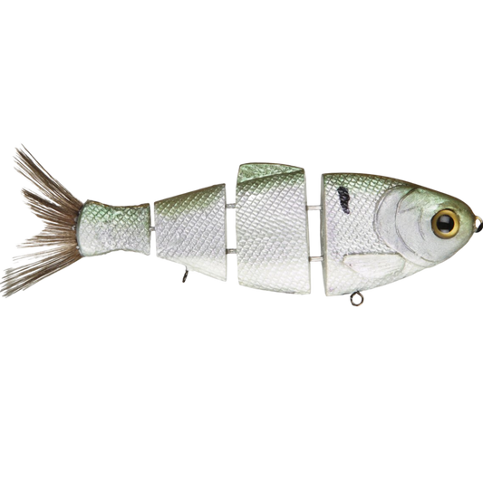 Bull Shad Fast Sink Swimbaits - Tampa Home & Garden Store