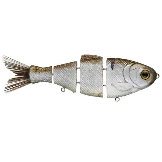 Bull Shad Floating Swimbait - Tampa Home & Garden Store