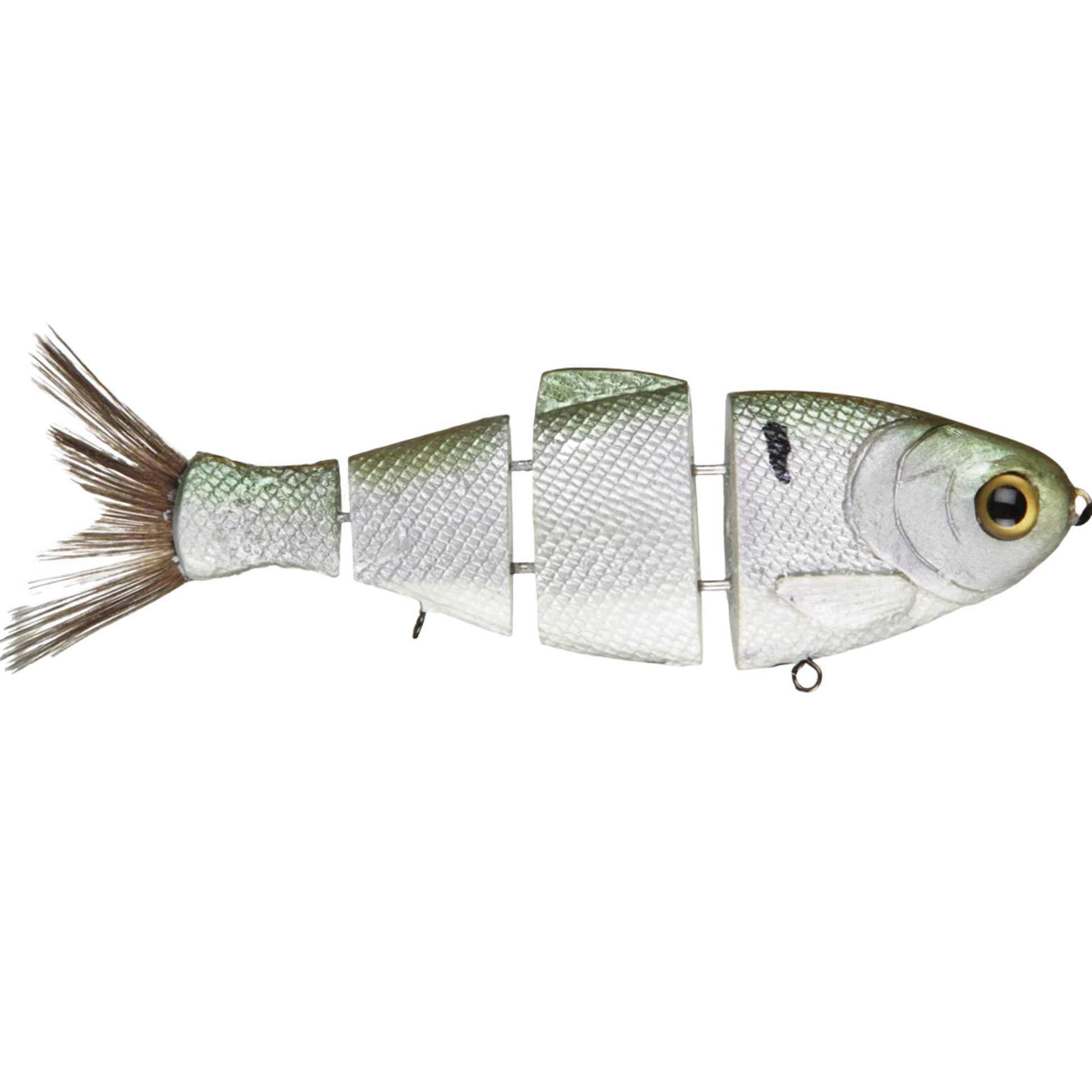 Bull Shad Floating Swimbait - Tampa Home & Garden Store