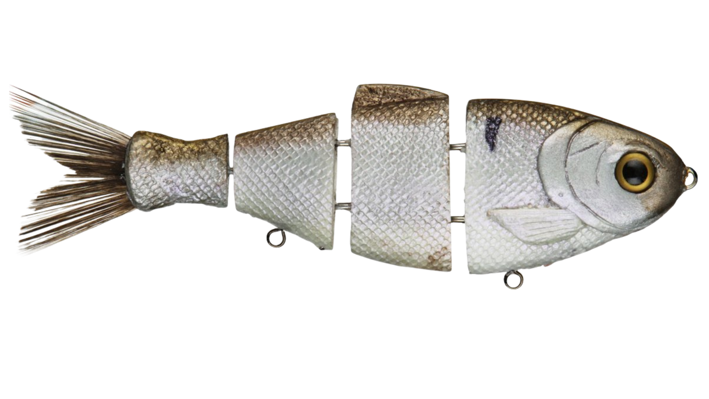Bull Shad Slow Sink - Tampa Home & Garden Store
