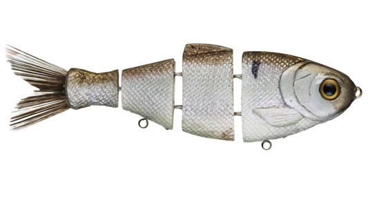 Bull Shad Slow Sink - Tampa Home & Garden Store