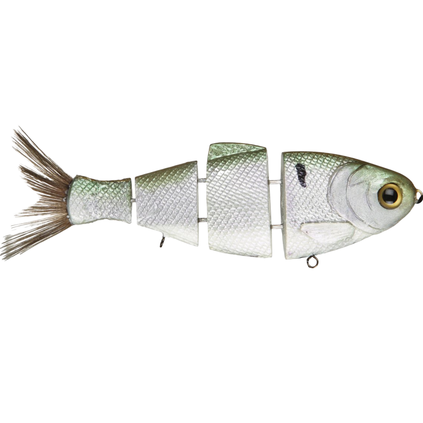 Bull Shad Slow Sink - Tampa Home & Garden Store