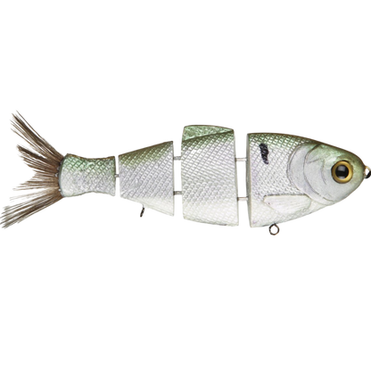 Bull Shad Slow Sink - Tampa Home & Garden Store
