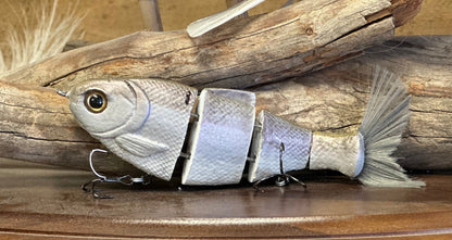 Bull Shad Slow Sink - Tampa Home & Garden Store