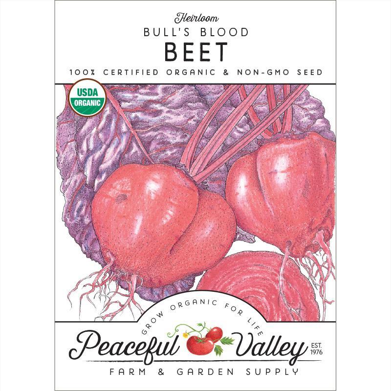 Bull's Blood Beet Seeds (Organic) - Tampa Home & Garden Store