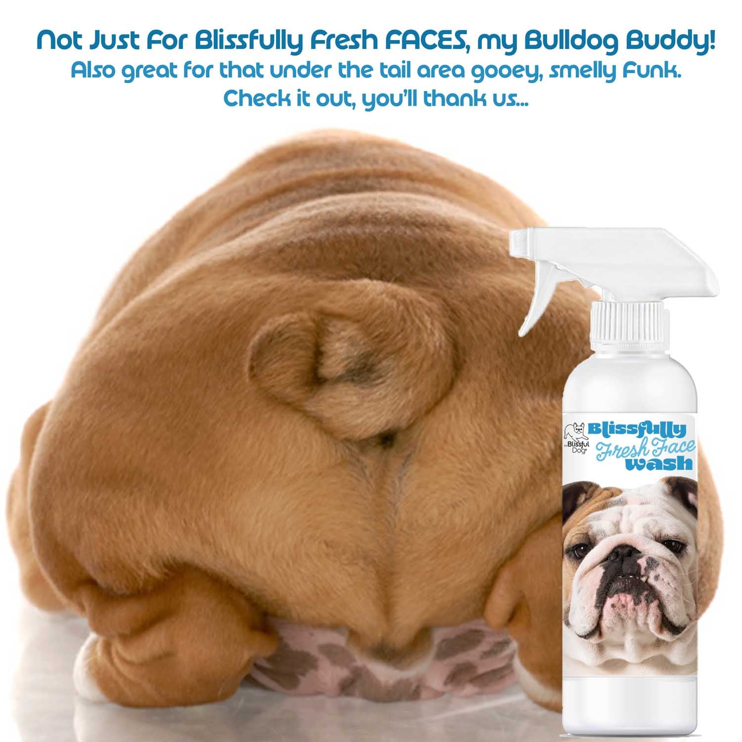 Bulldog Blissfully Fresh™ Face Wash - Tampa Home & Garden Store
