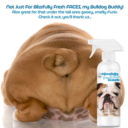 Bulldog Blissfully Fresh™ Face Wash - Tampa Home & Garden Store