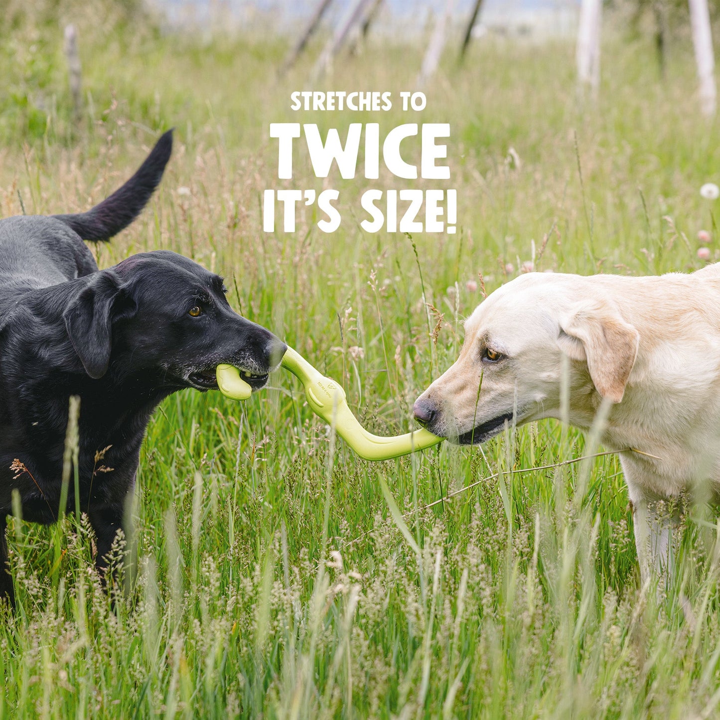 Bumi S Shaped Stretch Toy for Gentle Chewers