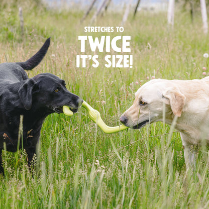 Bumi S Shaped Stretch Toy for Gentle Chewers
