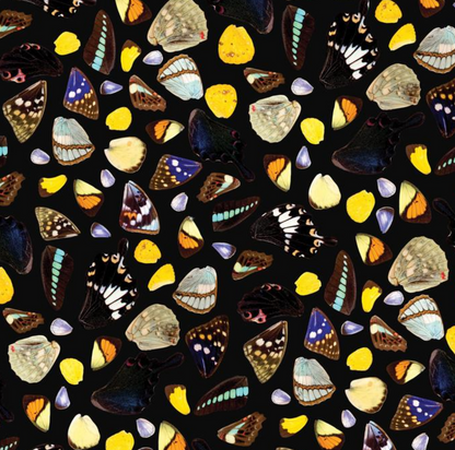 Butterfly Terrazzo Wallpaper, black - Tampa Home & Garden Store