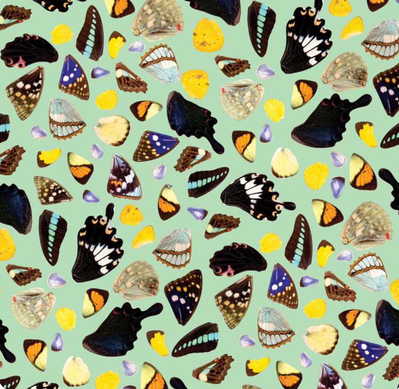 Butterfly Terrazzo Wallpaper, mint - Tampa Home & Garden Store