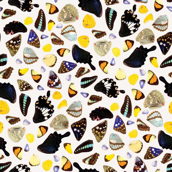 Butterfly Terrazzo Wallpaper, white - Tampa Home & Garden Store