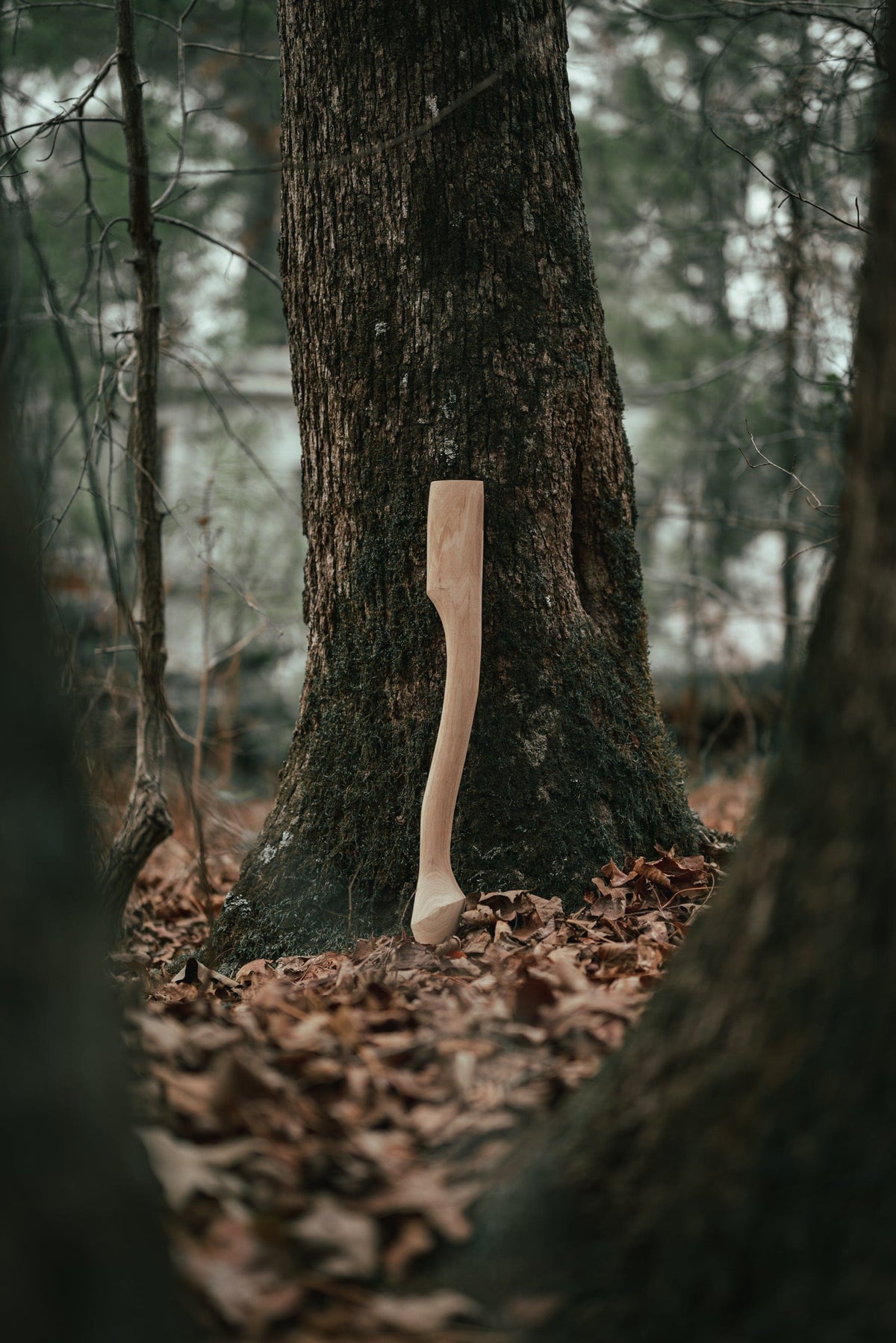 Axe handle Whiskey River 19-inch Premium Heritage natural wood leaning against a tree on Tampa Home & Garden Store