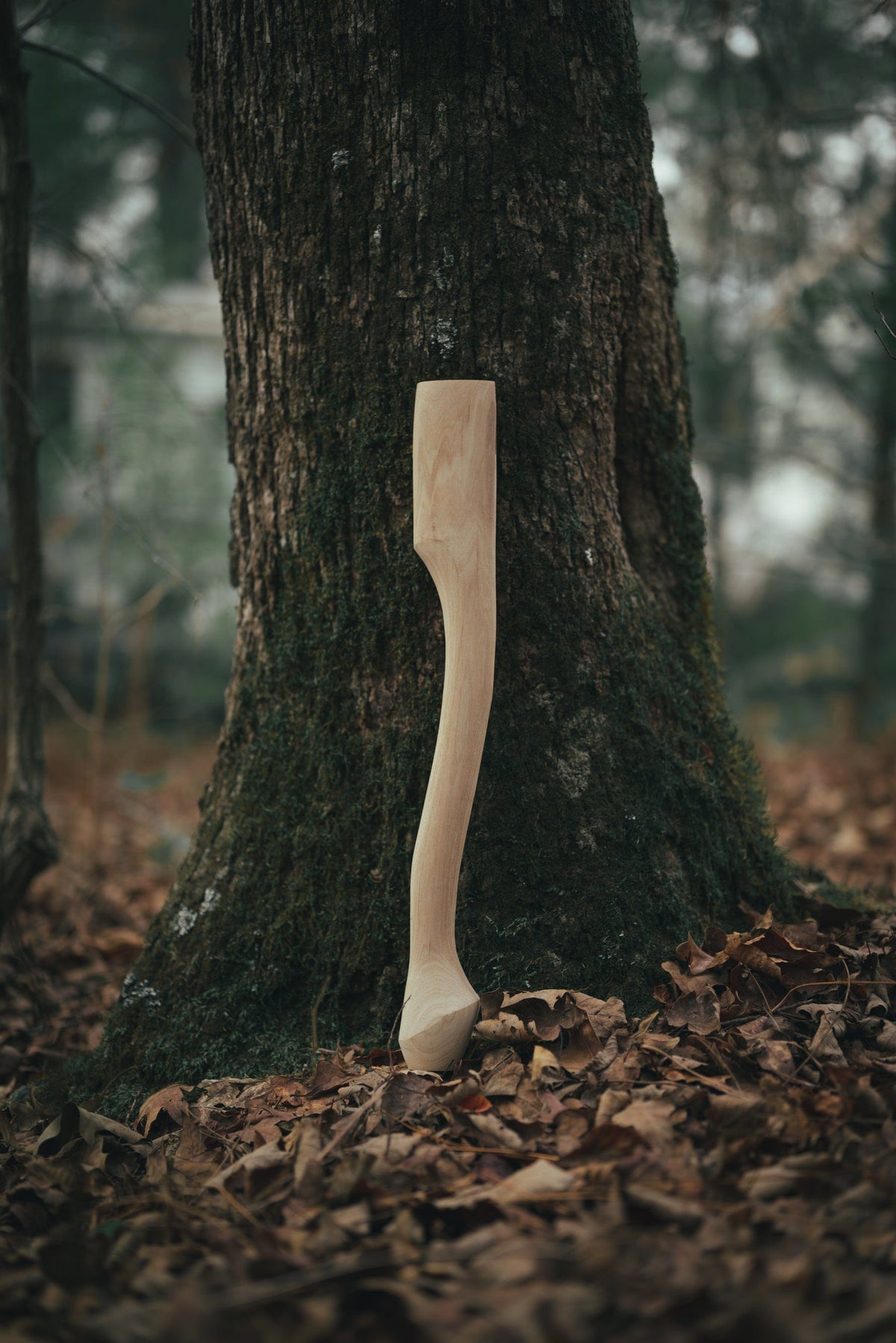 Whiskey River Premium Heritage 19C axe handle, 19in natural wood against a tree trunk on Tampa Home & Garden Store