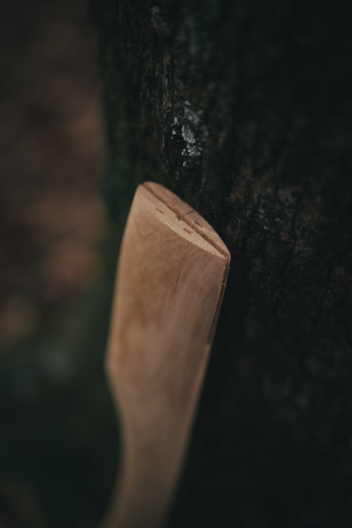Whiskey River Premium Heritage 19C axe handle natural wood 19in length leaning against tree on Tampa Home & Garden Store