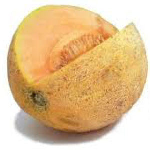 CANTALOUPE Seeds, Hearts of Gold - Tampa Home & Garden Store