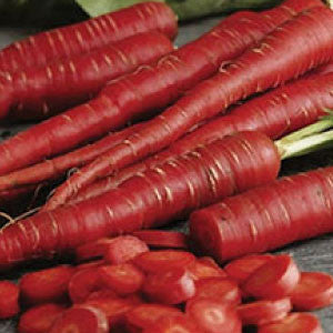 CARROT Seeds, Atomic Red - Tampa Home & Garden Store