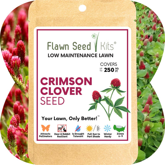 Crimson Clover Seed packet by Flawn Seed Kits for a low maintenance lawn on Tampa Home & Garden Store
