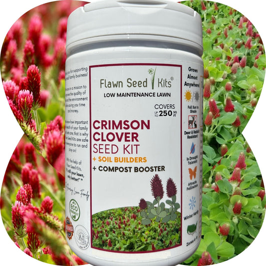 Crimson Clover Easy Spread Shaker seed kit by Flawn Seed Kits, Seeds on Tampa Home & Garden Store