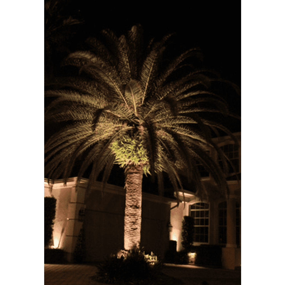 CD30 30W Low Voltage LED Outdoor Spotlight Directional Narrow Beam Angle - Tampa soil911.com