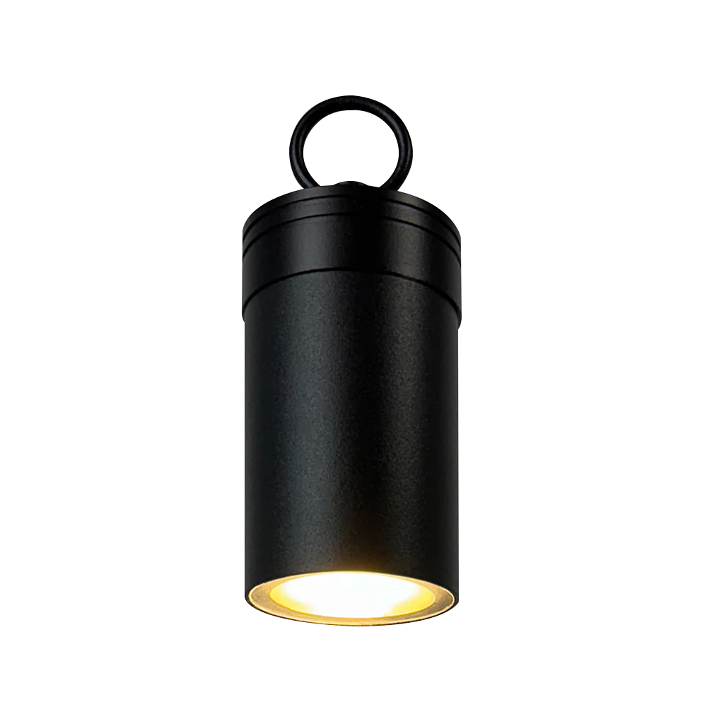 CD90 Low Voltage Philips Bulb Cylinder Pendant Light Hanging Spotlight
