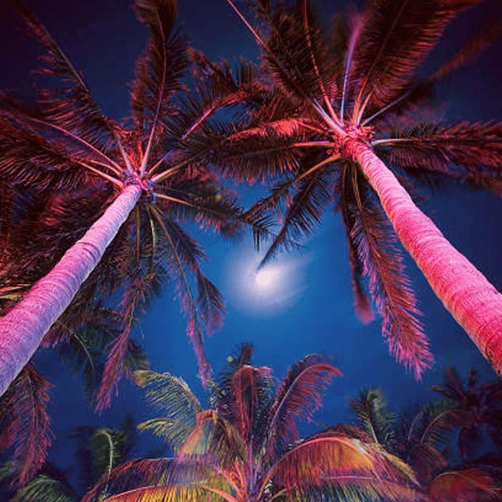 CDR30 30W Smart Bluetooth RGBW Narrow Beam Directional Outdoor Landscape Spotlight - Tampa Home & Garden Store