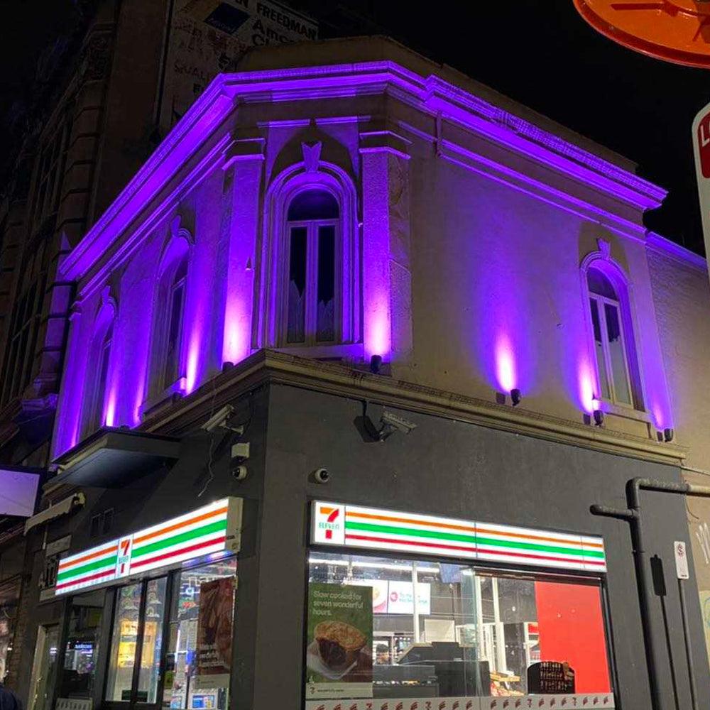 CDR30 30W Smart Bluetooth RGBW Narrow Beam Directional Outdoor Landscape Spotlight - Tampa Home & Garden Store