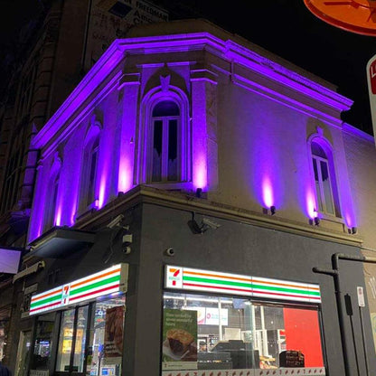 CDR30 30W Smart Bluetooth RGBW Narrow Beam Directional Outdoor Landscape Spotlight - Tampa Home & Garden Store