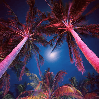 CDRA12 12W Smart Bluetooth RGBW Narrow Beam Directional Outdoor Landscape Spotlight