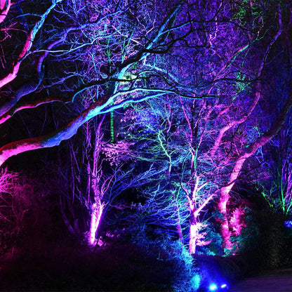 CDRA12 12W Smart Bluetooth RGBW Narrow Beam Directional Outdoor Landscape Spotlight