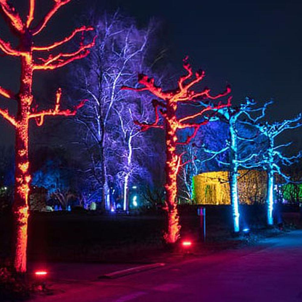 CDRA12 12W Smart Bluetooth RGBW Narrow Beam Directional Outdoor Landscape Spotlight