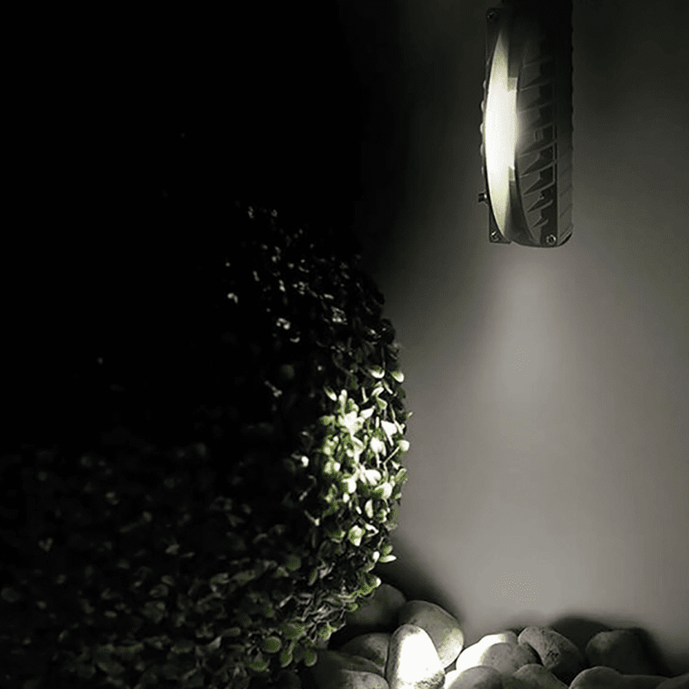 CDW8 LED Linear Window Light with 9W Narrow Beam Light Design - Tampa soil911.com