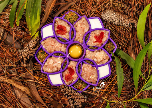Raw Chicken & Turkey PMR meal blend for pets in a purple tray with egg Raw Instincts on Tampa Home & Garden Store