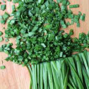 CHIVE Seeds, Allium Schoeno - Tampa Home & Garden Store