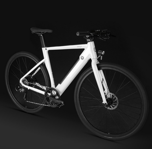 CITI AIR E BIKE - Tampa Home & Garden Store