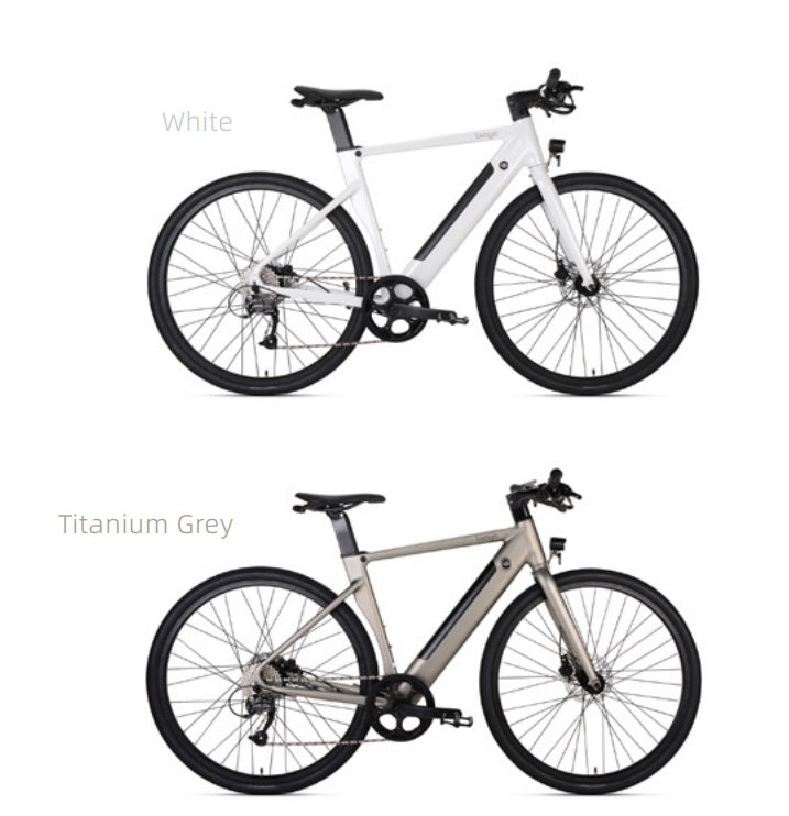 CITI AIR E BIKE - Tampa Home & Garden Store