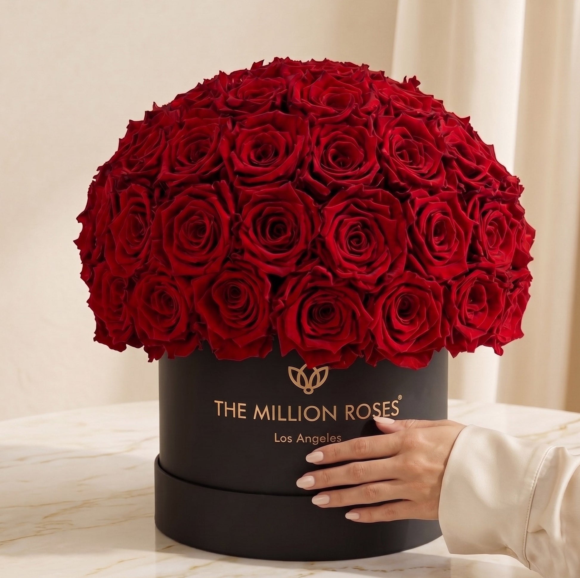 Classic Black Superdome Box red rose bouquet by The Million Roses on Tampa Home & Garden Store