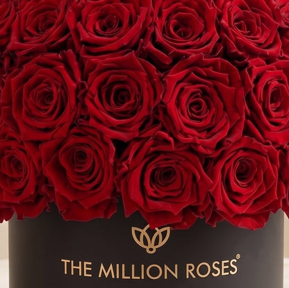 Classic Black Superdome Box of red roses by The Million Roses on Tampa Home & Garden Store