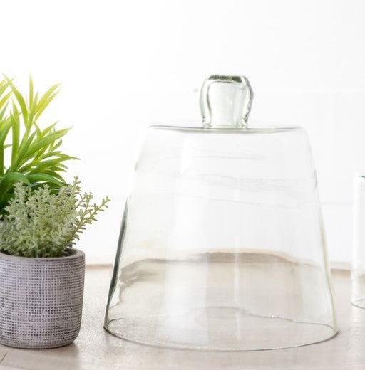 Cloche bell jar, clear glass dome with knob lid, beside potted succulents Thenestedfig on Tampa Home & Garden Store