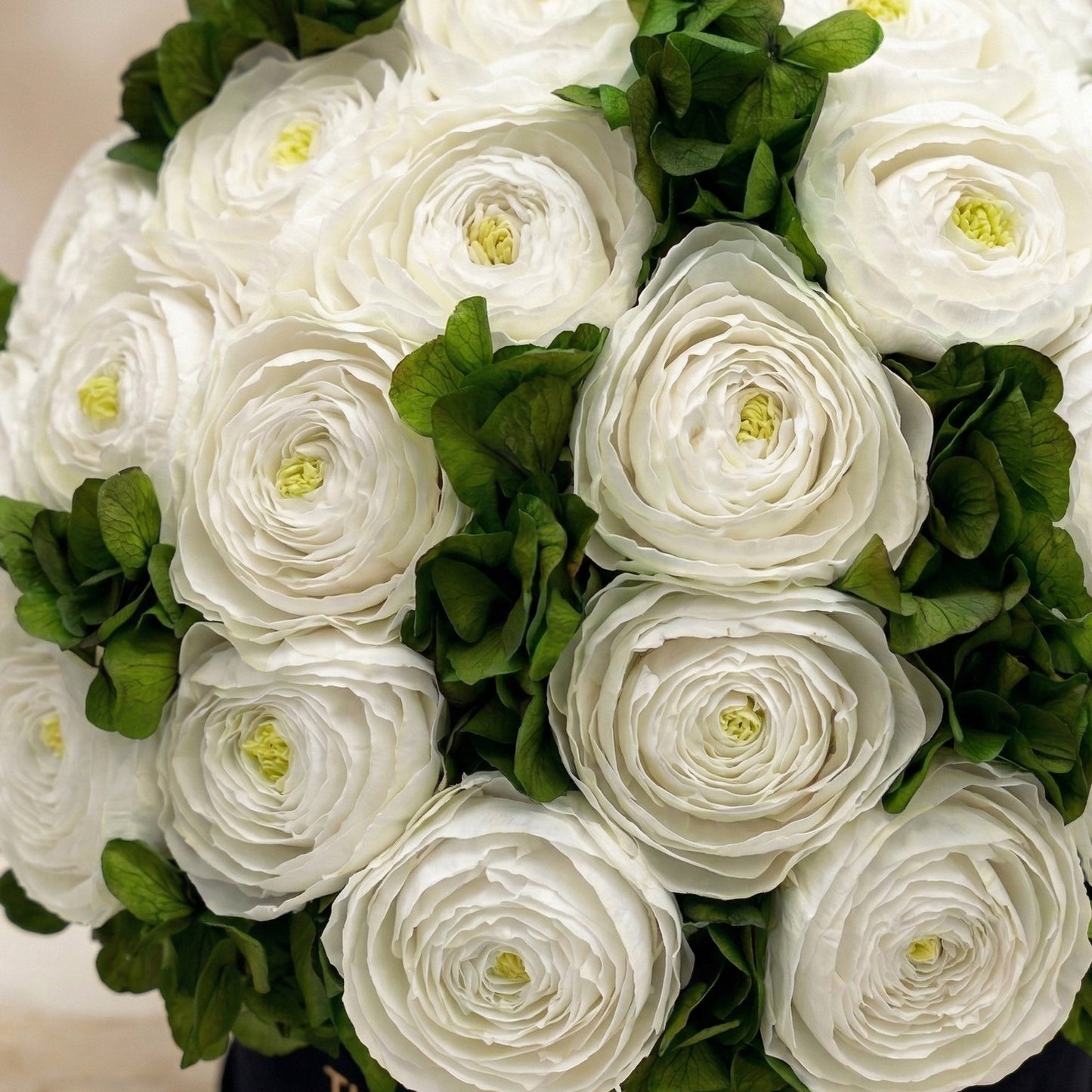 White Persian buttercups and green hydrangeas bouquet close-up on Tampa Home & Garden Store