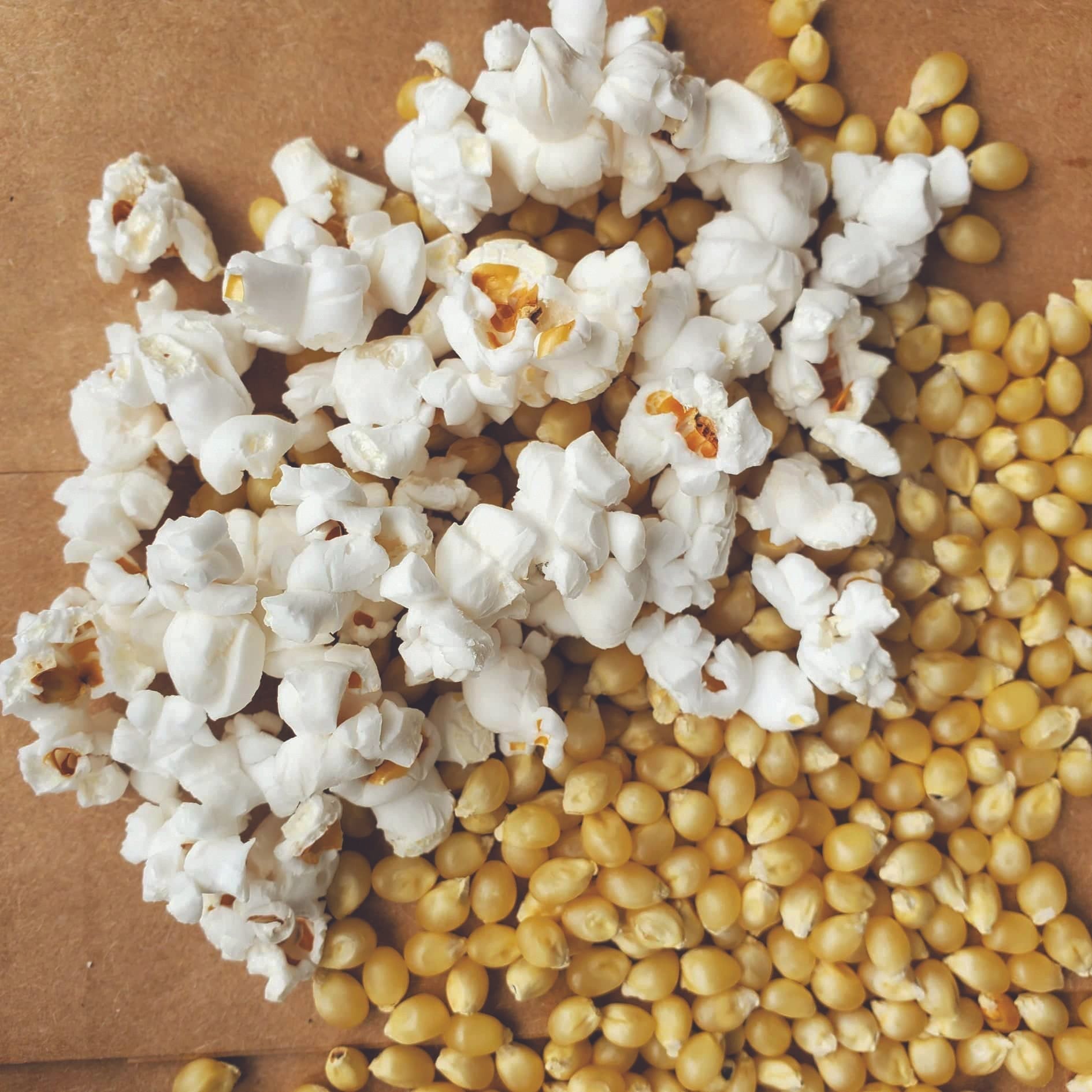Japanese hulless popcorn seeds with golden kernels and white popped corn on wood board on Tampa Home & Garden Store