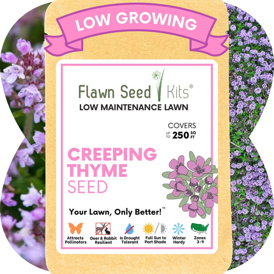 Creeping Thyme Seed Pouch from Flawn Seed Kits, low maintenance lawn seeds label with pink border on Tampa Home & Garden Store